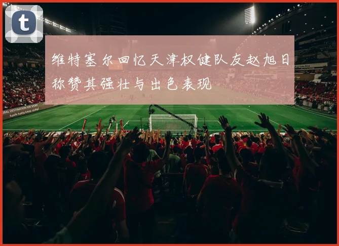 维特塞尔回忆天津权健队友赵旭日称赞其强壮与出色表现