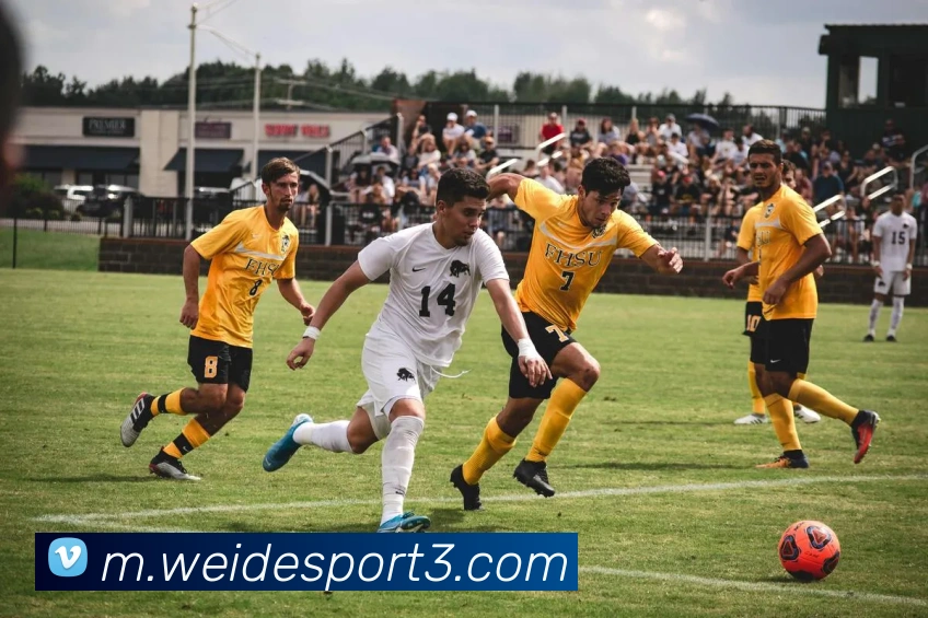 伟德体育平台生态图